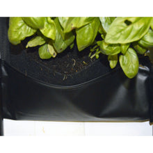 7 Pocket INDOOR WATERPROOF Vertical Planter - 4D's T&D Inc