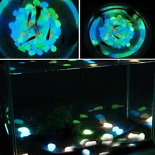 Fish Tank -Add some personality to your fish tank with this 100-piece set of glow-in-the-dark pebbles. - 4D's T&D Inc