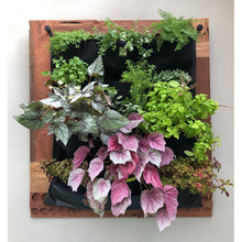 12 Pocket Indoor Waterproof Vertical Living Wall Planter - 4D's T&D Inc