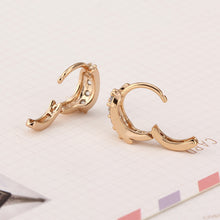 One Pair Girls Women Rhinestone Earrings Ear Hook Stud Jewelry 1 - 4D's T&D Inc