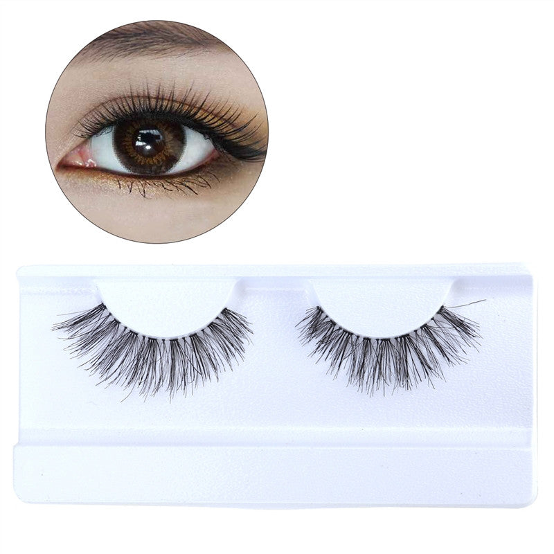 Pairs of Natural Soft 3D False Eyelashes Hair Long Thick Lashes for Women Gril Lady - 4D's T&D Inc