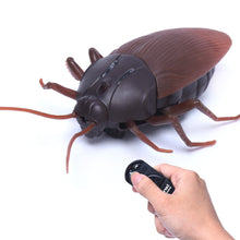 Remote Control Cockroach Toy - 4D's T&D Inc