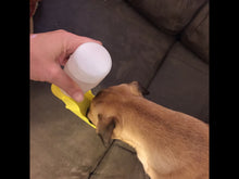 Pet Care portable Water bottle 250ML Outdoor Portable Pet Dog Water Bottles Fordable Tank Drinking Design Travelling Bowl Feeding - 4D's T&D Inc